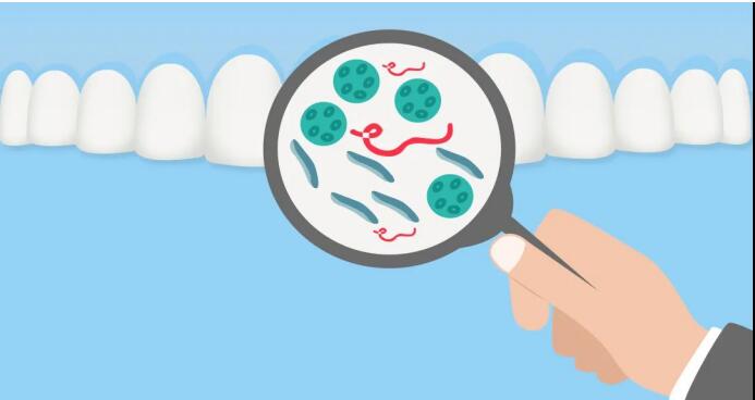 龋病和牙周疾病是危害我国居民口腔健康的两种最常见的疾病